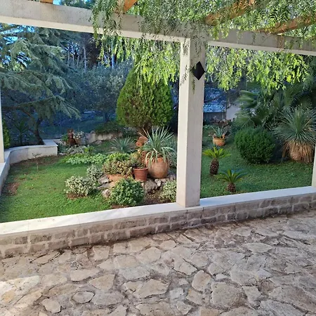 Maria سوبيتار